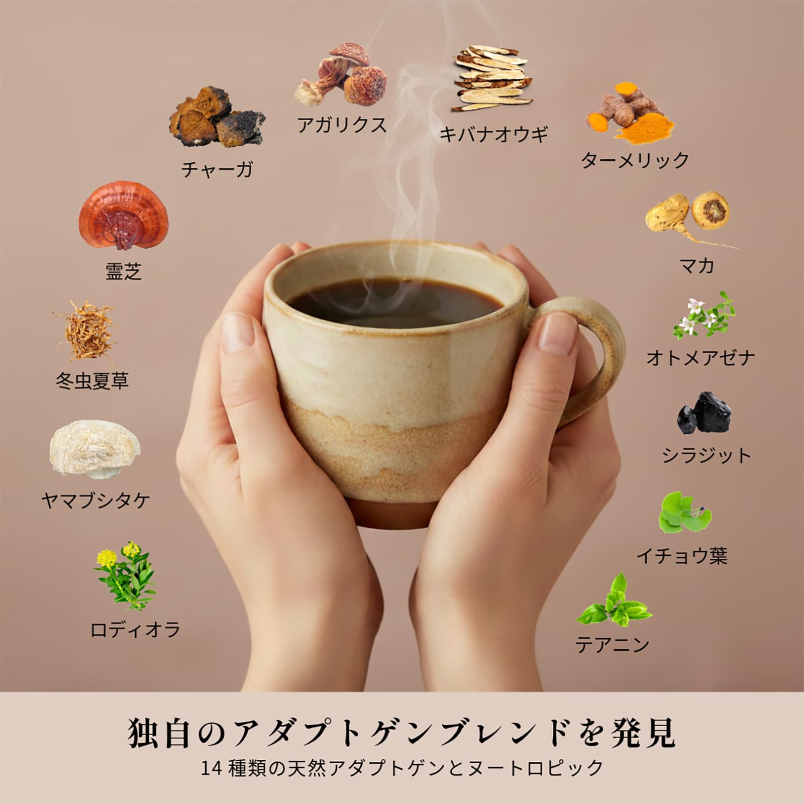 Amazon.co.jp: 【公式】AdaptoLatte アダプトラテ コーヒー (ブラック